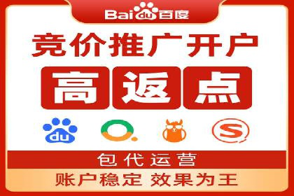 百度竞价推广公司经典案例解析：广告投放策略的智慧